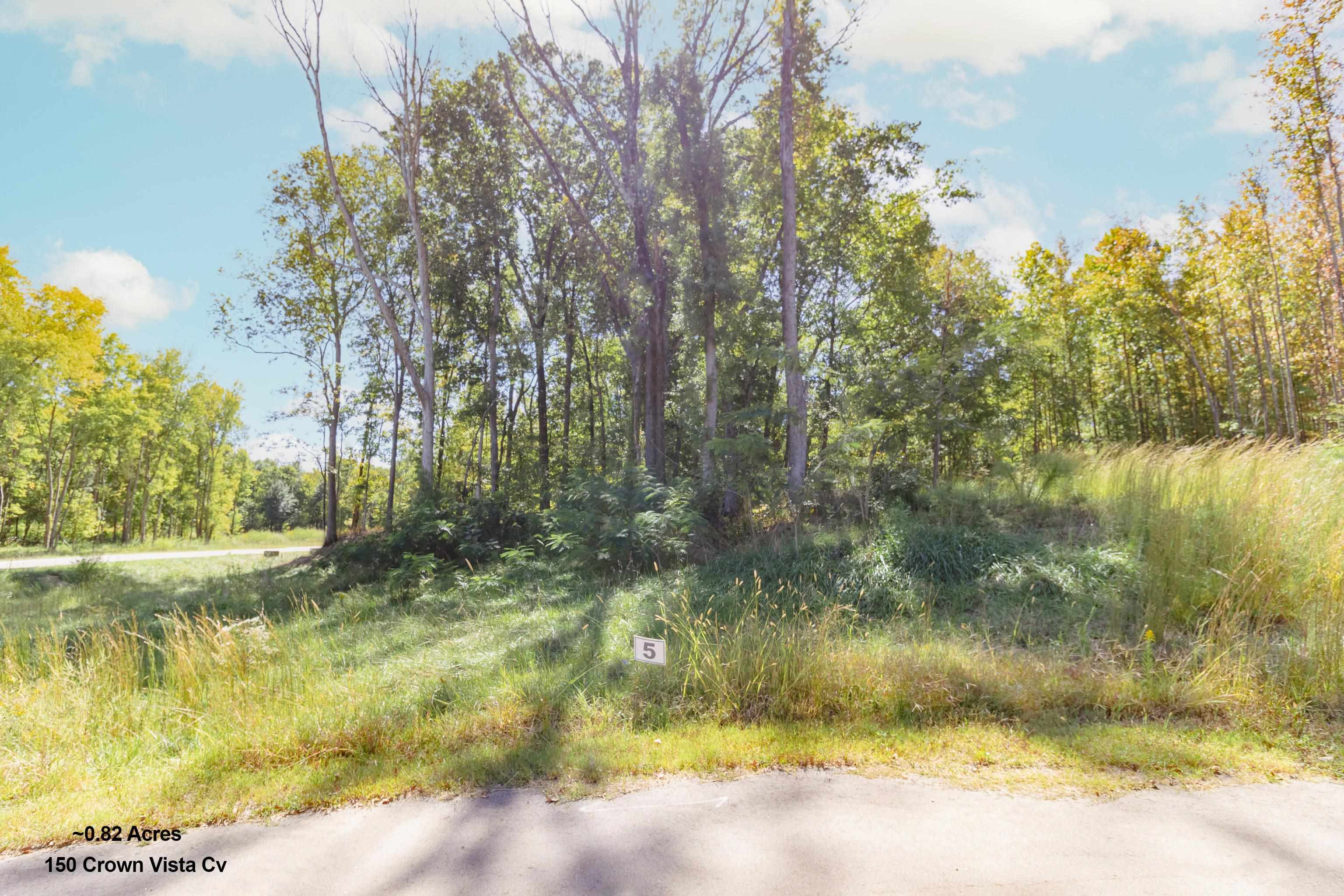 Property: 150 Crown Vista Cv,Piperton, TN