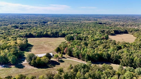 Photo of 0 WEST FORK RD, Grand Junction, TN 38067 (MLS # 10233130)