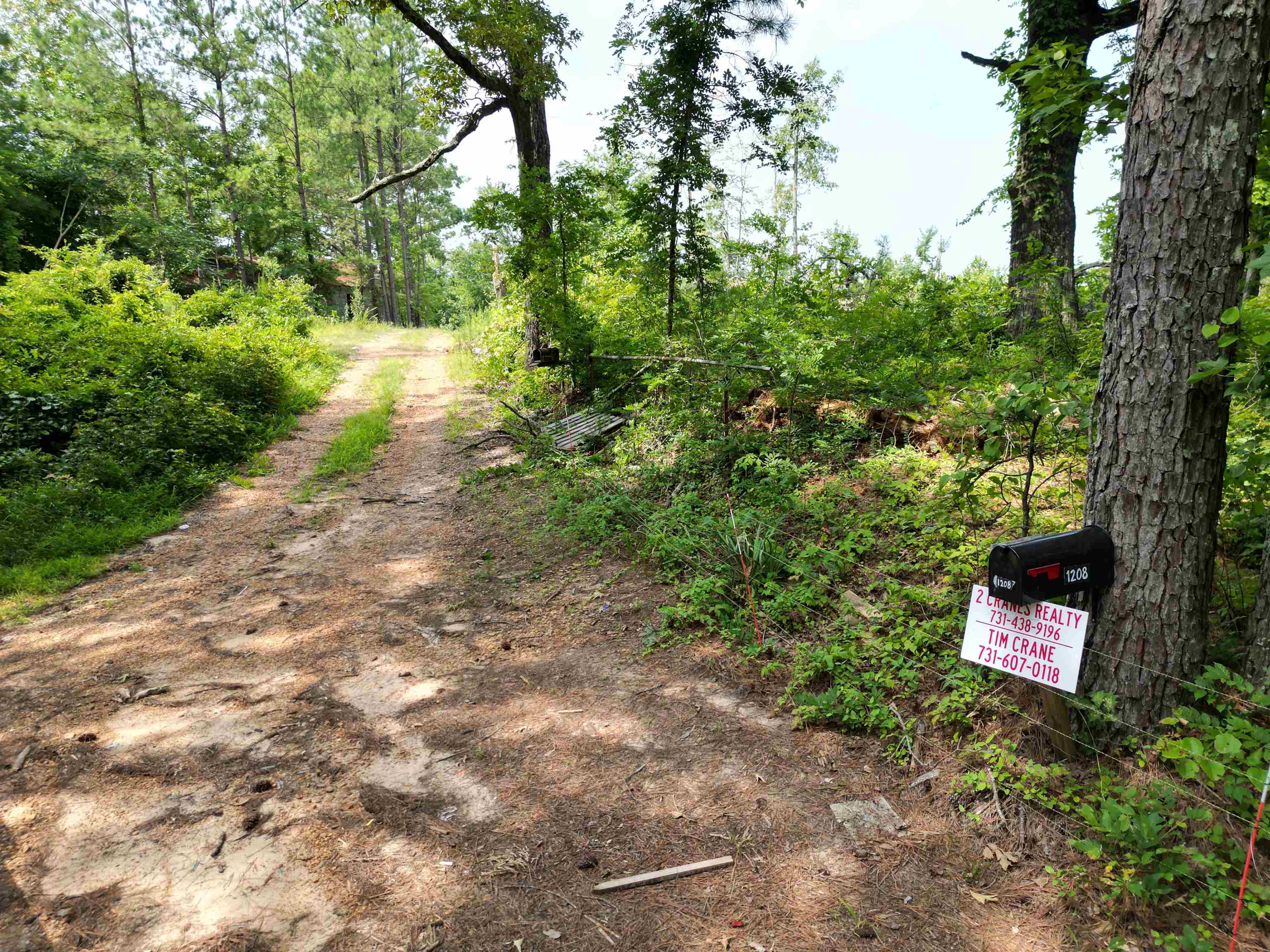 Listing image 1