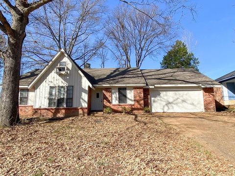 Photo of 4329 W HUNTERS GLEN ST, Unincorporated, TN 38128 (MLS # 10215358)