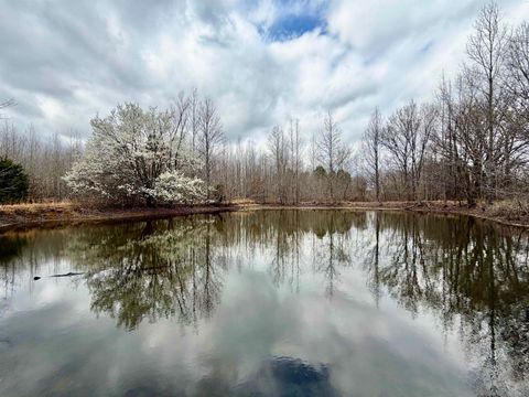 Photo of 9870 MOOSE RD, Millington, TN 38053 (MLS # 10216152)