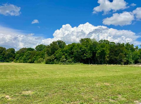 Photo of LOT 17 CORDOVA CV, Savannah, TN 38372 (MLS # 10222315)