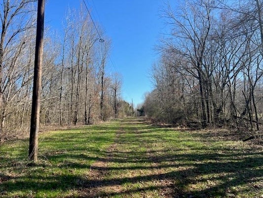 HAYS RD, MOSCOW, TN 38057 - Image 2bb58d97f0c33c8fab9c1b43df5c492c/1669853949