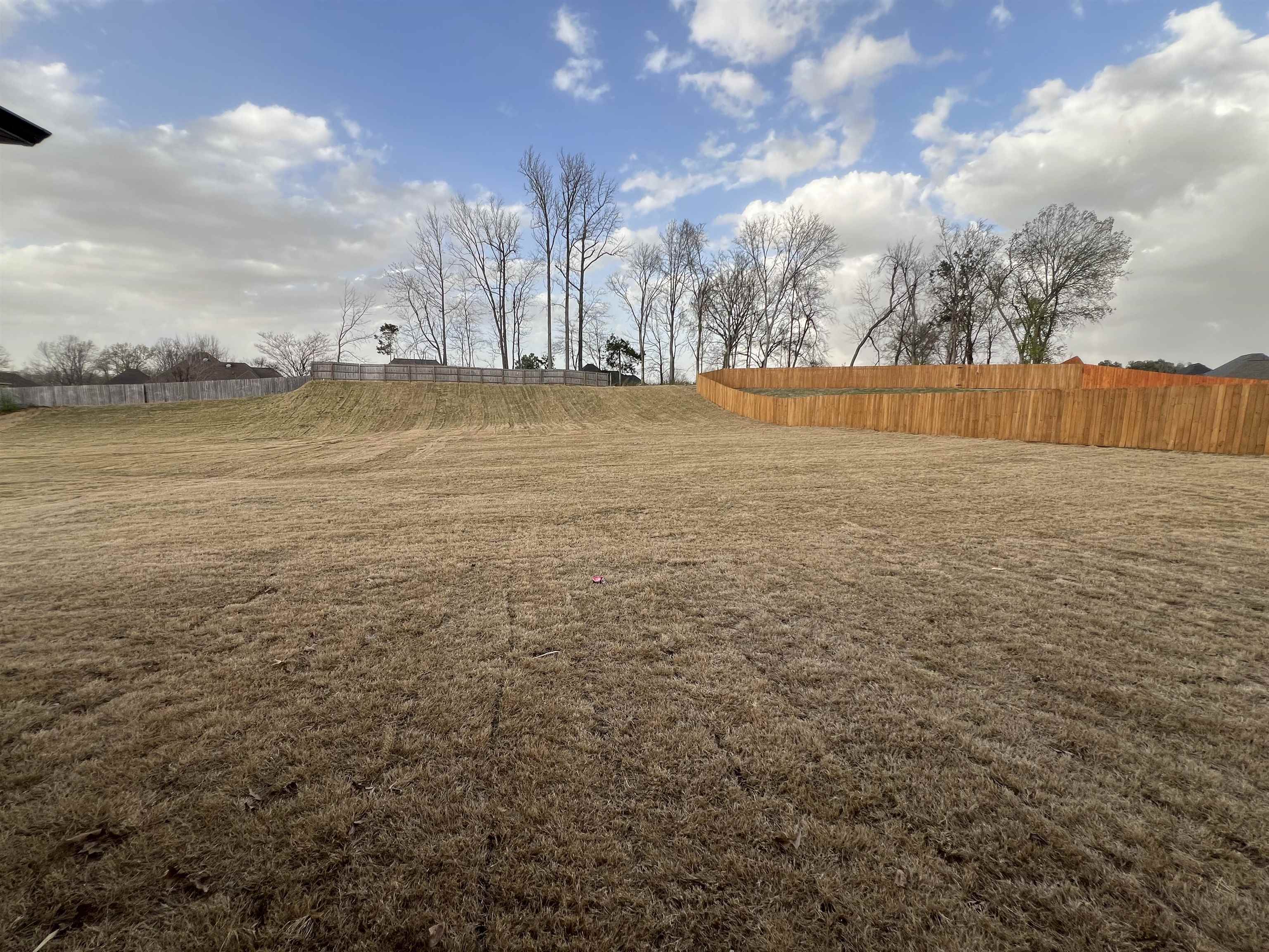 Lakeland, Tennessee 38002, United States, 4 Bedrooms Bedrooms, ,3 BathroomsBathrooms,Residential,Active,30820