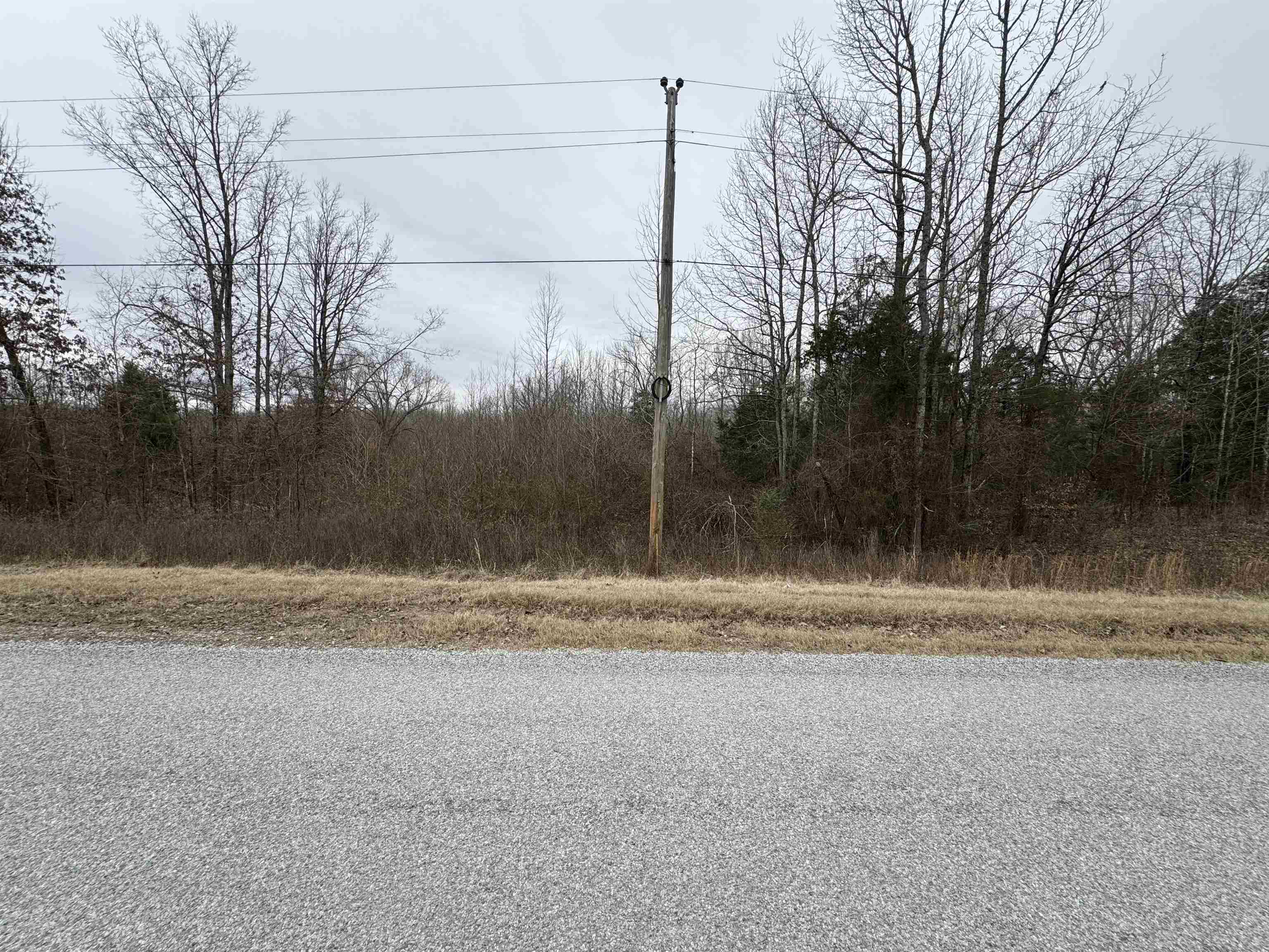 Trenton, Tennessee 38382, United States, ,Land,Active,3569