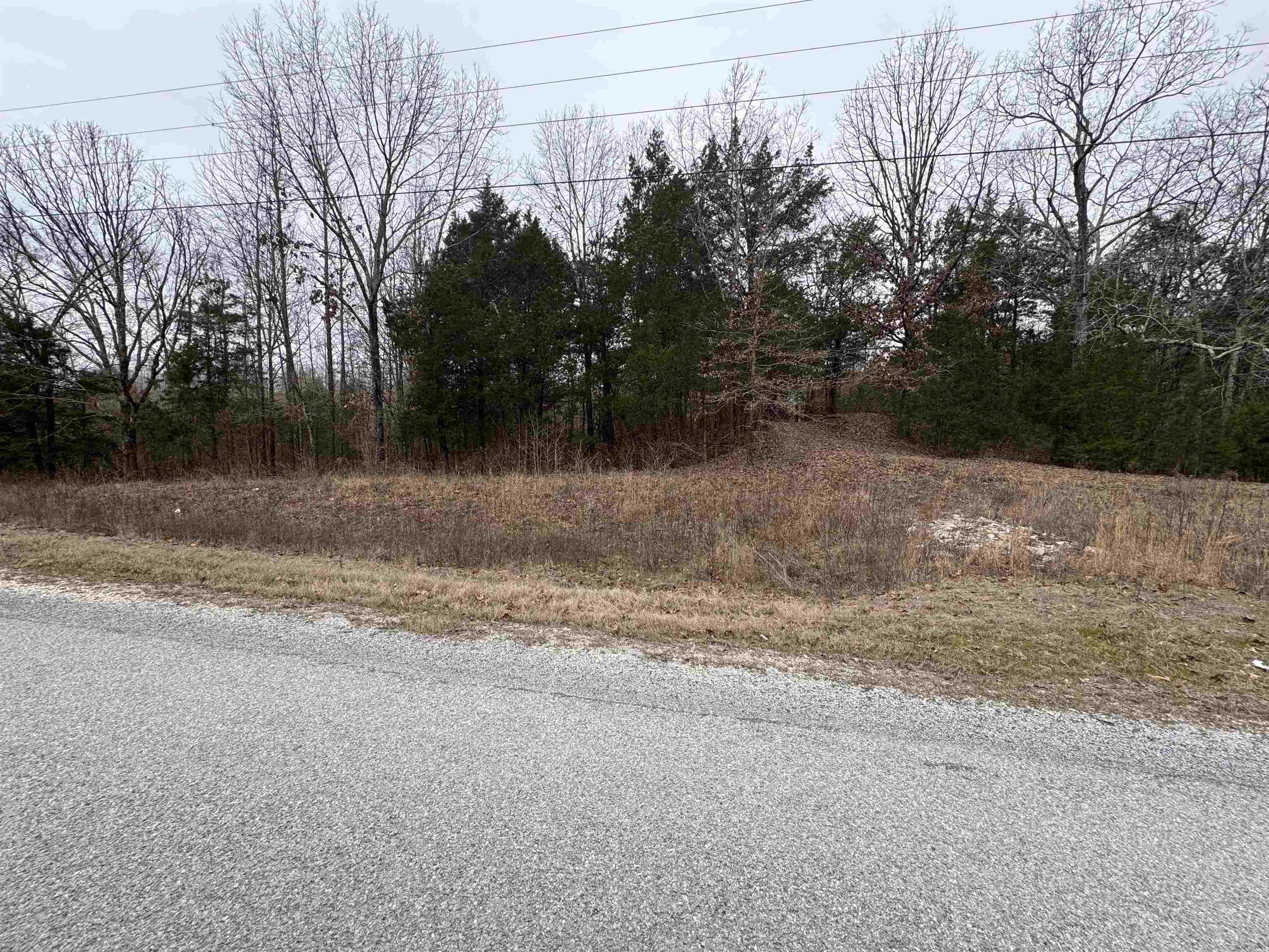 Trenton, Tennessee 38382, United States, ,Land,Active,3569