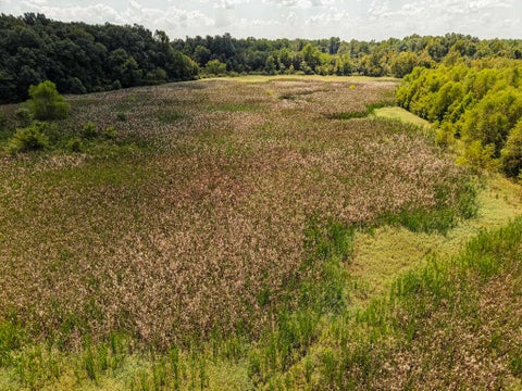 Photo of 00 GALLOWAY LEVEE RD, Arlington, TN 38002 (MLS # 10230387)
