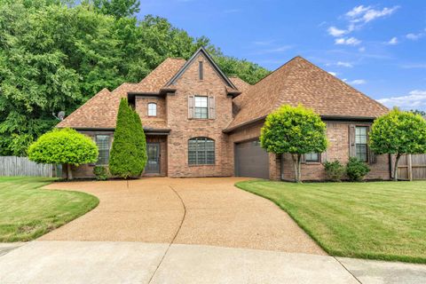 Photo of 3547 BLUESLATE CV, Bartlett, TN 38133 (MLS # 10226479)