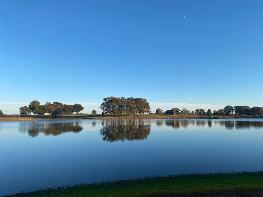 295 BELLE FARMS RD, WILLISTON, TN 38076 - Image 2e95fd41edce1df84f2882f3f3899d30/3797218602