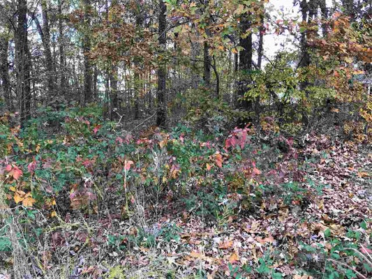 1 COUNTRYWOODS DR, SELMER, TN 38375 - Image 30692bc4d4a1cfc312cfec8069edfb90/3411895899