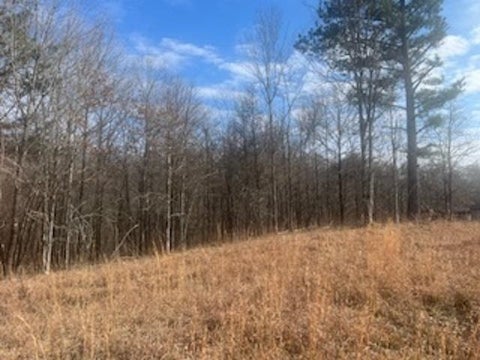 Photo of 0 S RED BANKS RD, Byhalia, MS 38611 (MLS # 10229317)