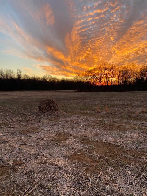 Photo of 5925 FEATHERS CHAPEL DR, Somerville, TN 38068 (MLS # 10229987)