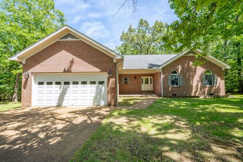 Photo of 535 OLD SOUTH RD, Counce, TN 38326 (MLS # 10221588)