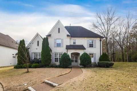 10187 SPRUCEWOOD CT Lakeland TN 38002