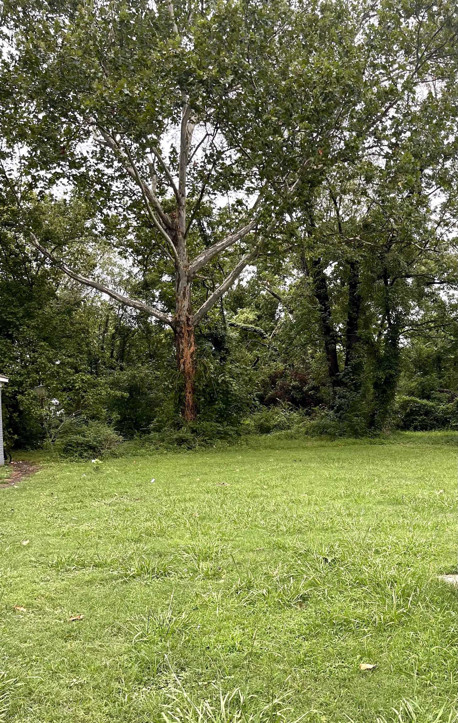 Photo 1 of 3 — 1495 N TREZEVANT ST, Memphis, TN 38108
