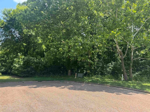 Photo of 422 SCOTTSCRAIG CV, Bartlett, TN 38135 (MLS # 10226669)