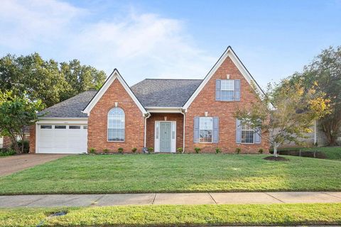 Photo of 9547 MORNING SHADOW DR, Cordova, TN 38016 (MLS # 10207368)