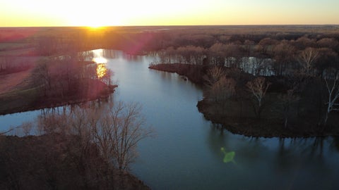 Photo of 4591 DELTA VIEW RD, Walls, MS 38680 (MLS # 10224170)