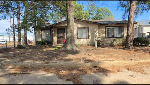 Photo of 3606 ORANGE BLOSSOM CT 61 #61, Memphis, TN 38118 (MLS # 10218366)