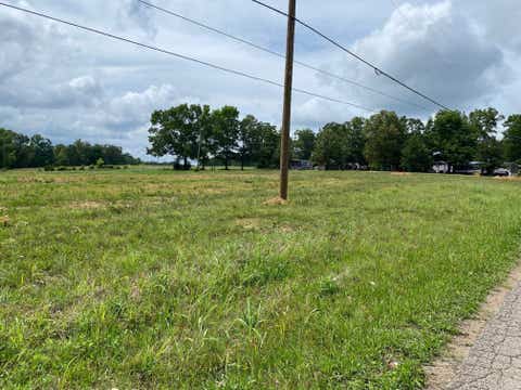Photo of OLD MORRIS CHAPEL RD, Adamsville, TN 38310 (MLS # 10222736)