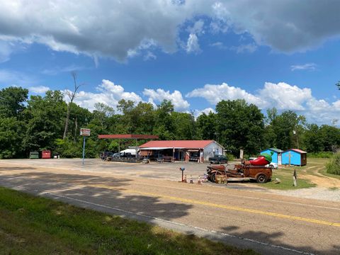 Photo of 26280 69 HWY, Adamsville, TN 38310 (MLS # 10200832)