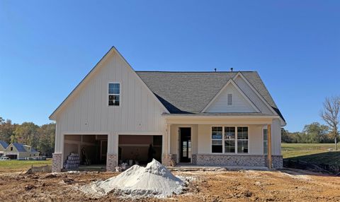 Photo of 260 BIBURY LN, Eads, TN 38028 (MLS # 10202543)