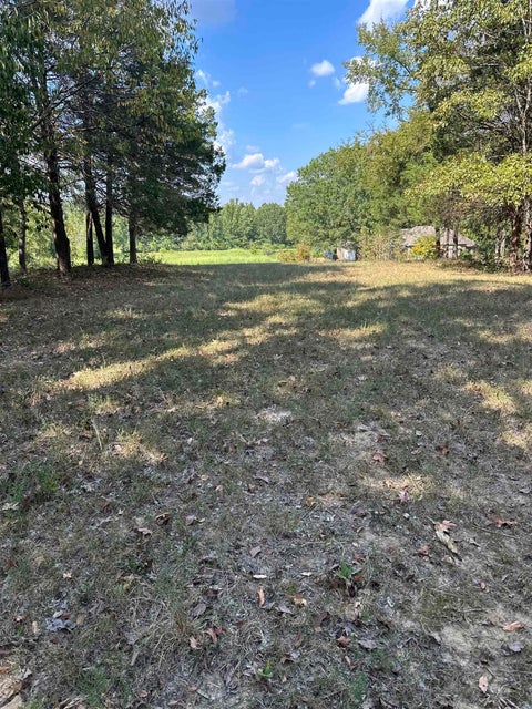 Photo of 2265 CLARKE LANDING DR, Cordova, TN 38016 (MLS # 10230261)