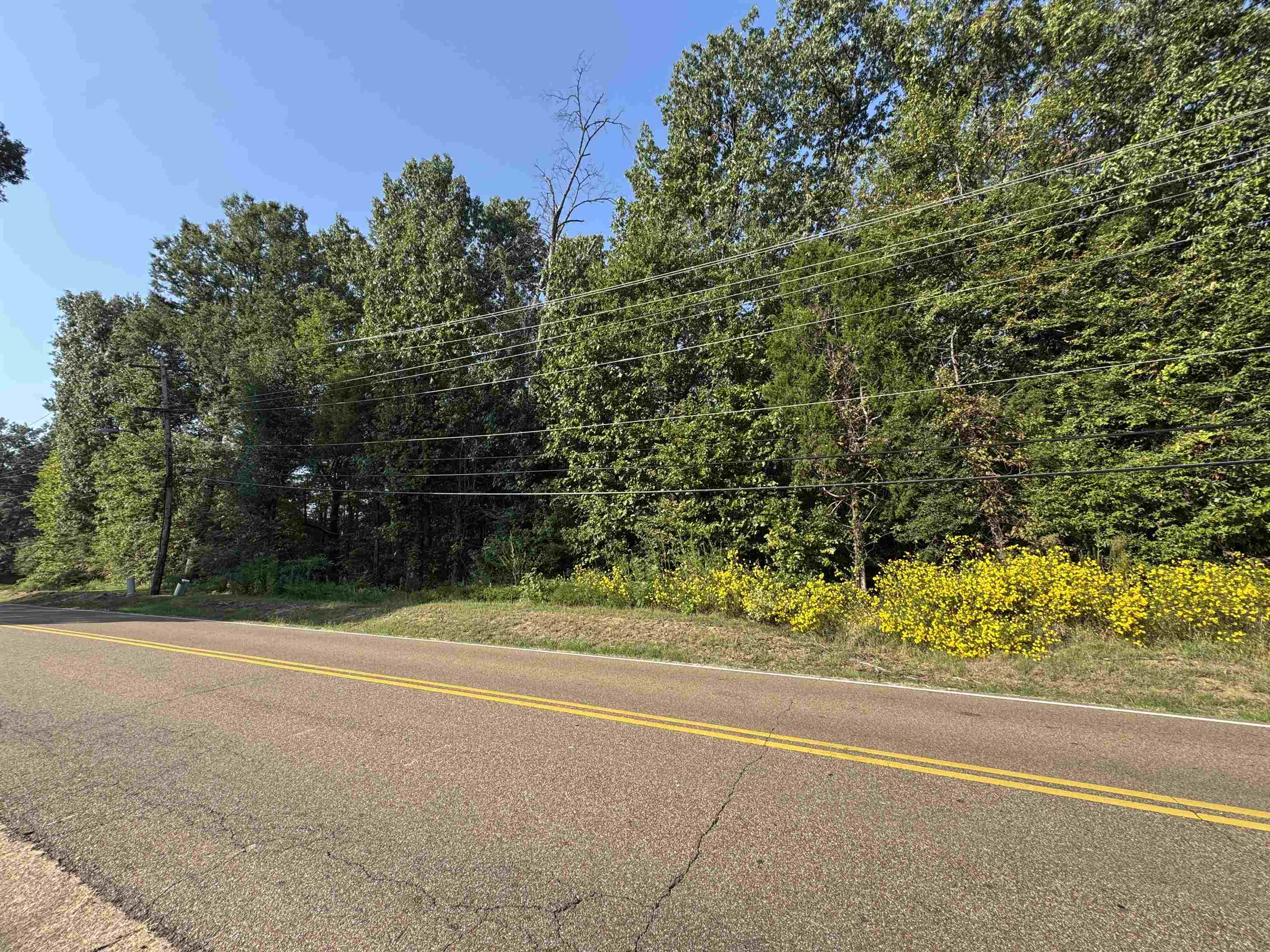 Germantown, Tennessee 38138, United States, ,Land,Active,212376