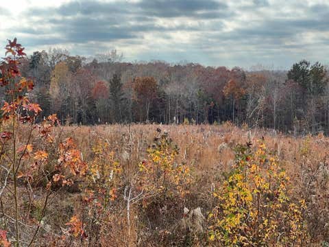 Photo of TRACT 4 OLD STATE HWY 69 HWY, Sugar Tree, TN 38380 (MLS # 10227183)
