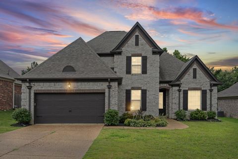 Photo of 8457 BUTTERFLY VIEW LN, Bartlett, TN 38133 (MLS # 10226066)