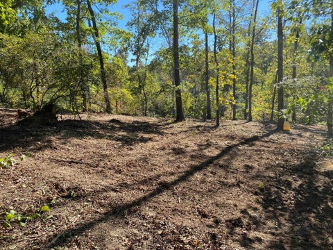 Photo of HUGHES RD, Henderson, TN 38340 (MLS # 10208864)