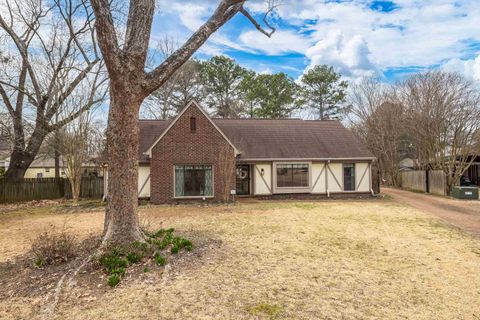 Photo of 8138 W PINE CREEK CRK, Germantown, TN 38138 (MLS # 10216059)