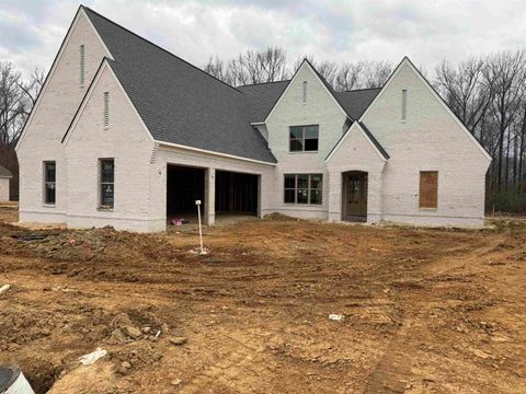 Photo of 5379 KAITLYNN ROSE DR, Lakeland, TN 38002 (MLS # 10209157)