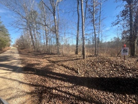 Photo of TRACT 4 GEORGE WALTER RD, Bolivar, TN 38008 (MLS # 10232240)