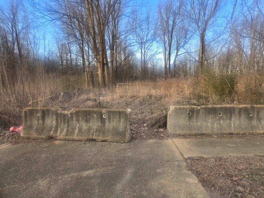1036 FIELDS RD, MEMPHIS, TN 38109 - Image 4686ddcb0fe491a7c65d9873fa916ffa/95076034