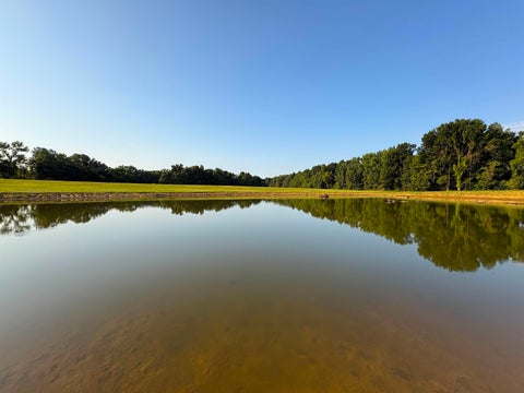 Photo of 6195 RICKS RD, Arlington, TN 38002 (MLS # 10229361)
