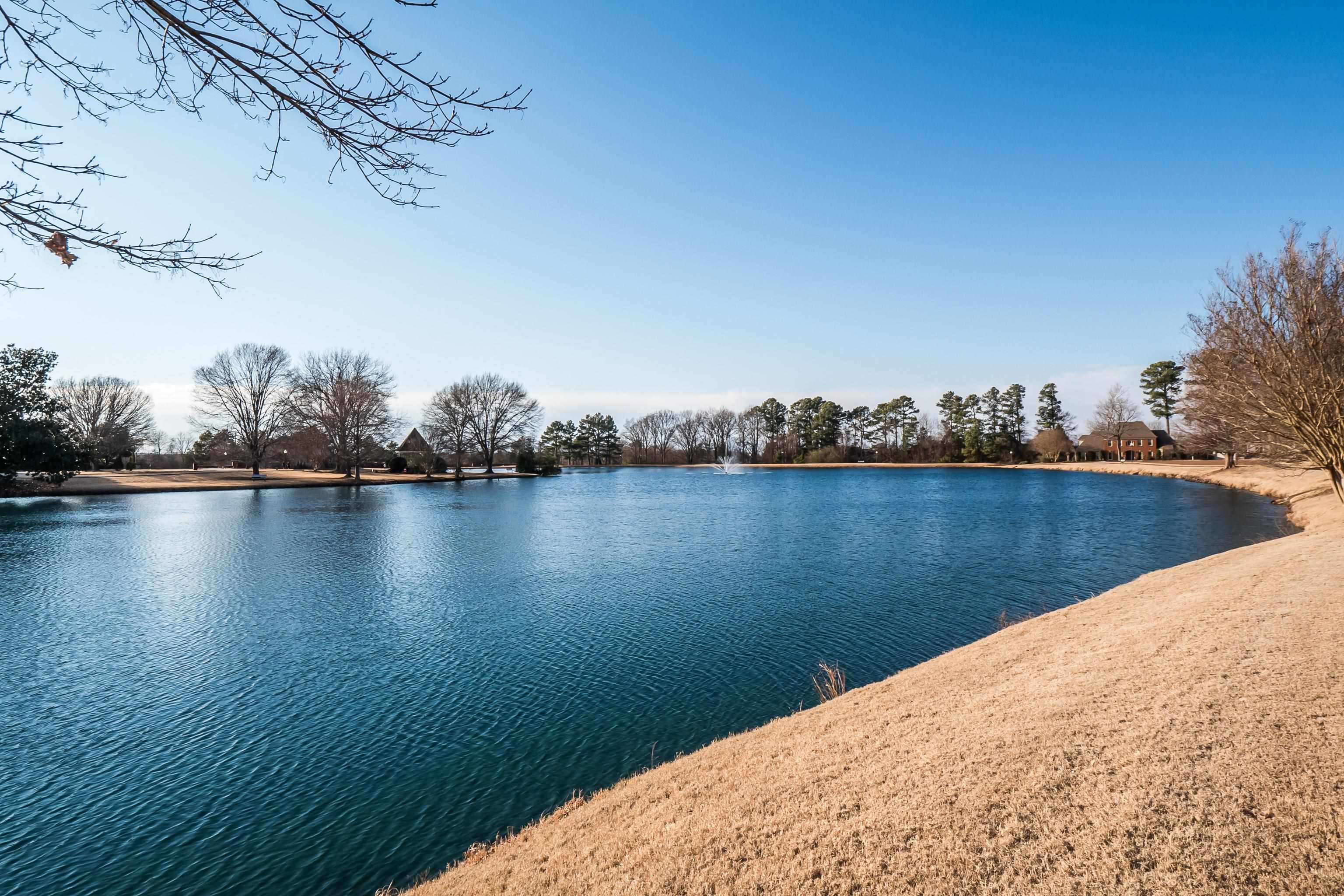 Collierville, Tennessee 38017, United States, 4 Bedrooms Bedrooms, ,4 BathroomsBathrooms,Residential,Active,79949