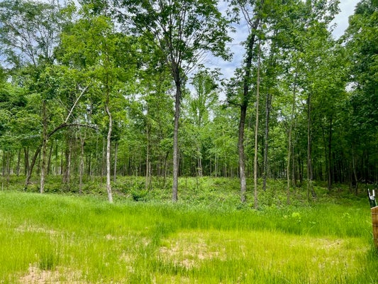 HIGHWAY 368, GRAND JUNCTION, TN 38039 - Image 470b2dea4fd4d45c40dcea52d0749dd0/407971184