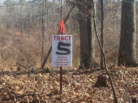 Photo of TRACT 5 GEORGE WALTER RD, Bolivar, TN 38008 (MLS # 10229000)