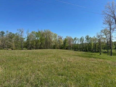 Photo of 00 PEAR BLOSSOM LN, Adamsville, TN 38310 (MLS # 10218887)