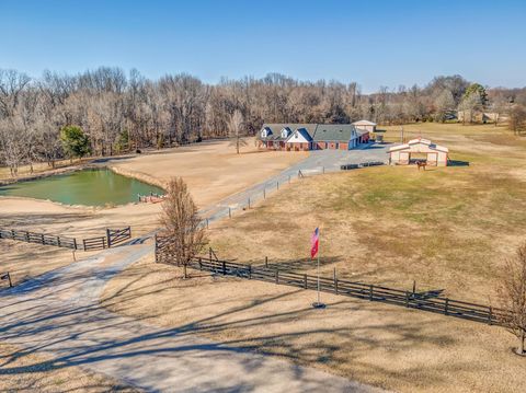 Photo of 162 GOFORTH VETERANS MEM PKY, Brighton, TN 38011 (MLS # 10215244)