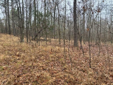 Photo of 0 HIGHWAY 193 HWY, Eads, TN 38028 (MLS # 10207857)