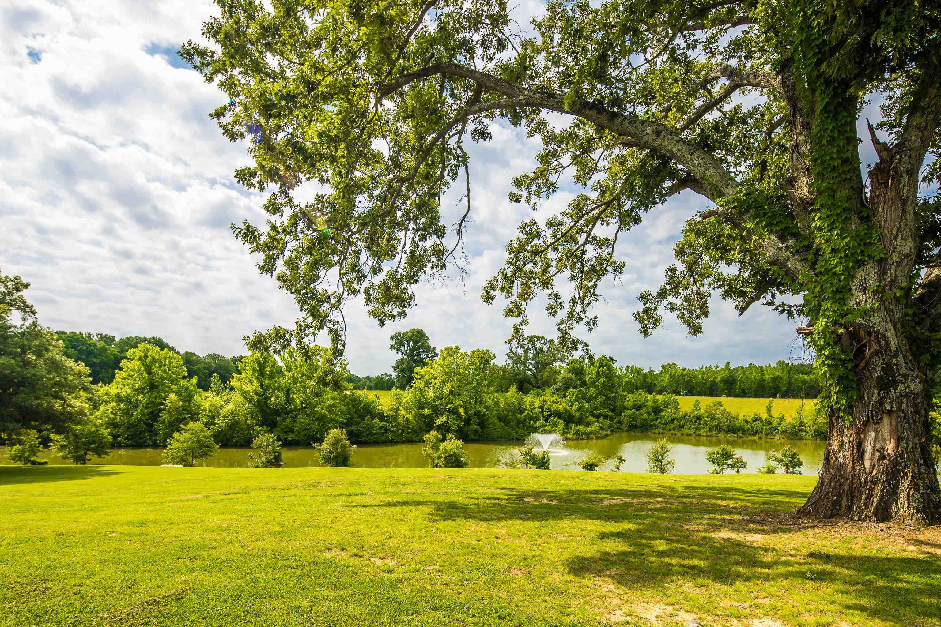 Somerville, Tennessee, 38068, United States, 3 Bedrooms Bedrooms, ,3 BathroomsBathrooms,Residential,Active,2013162