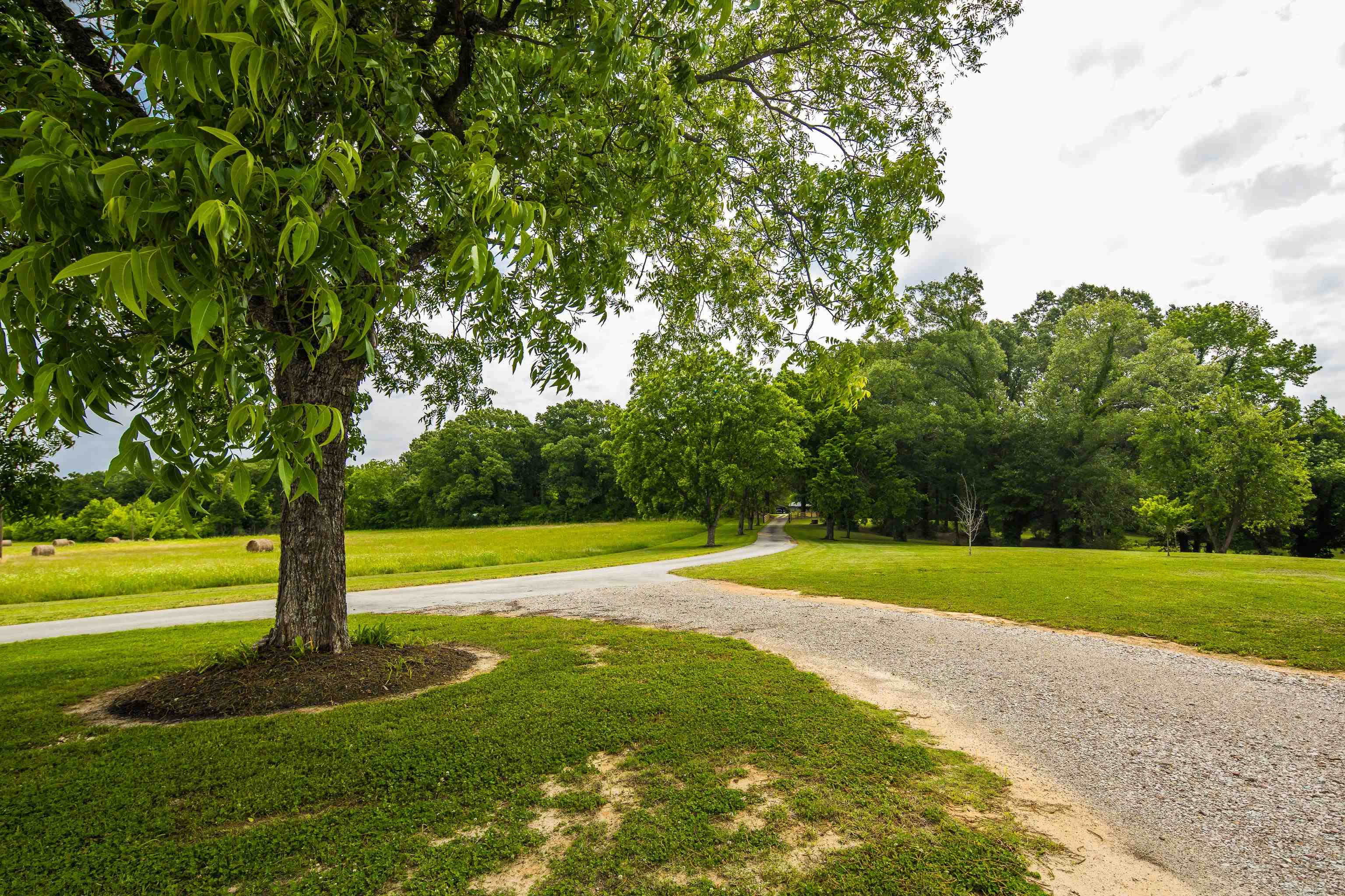 Somerville, Tennessee, 38068, United States, 3 Bedrooms Bedrooms, ,3 BathroomsBathrooms,Residential,Active,2013162