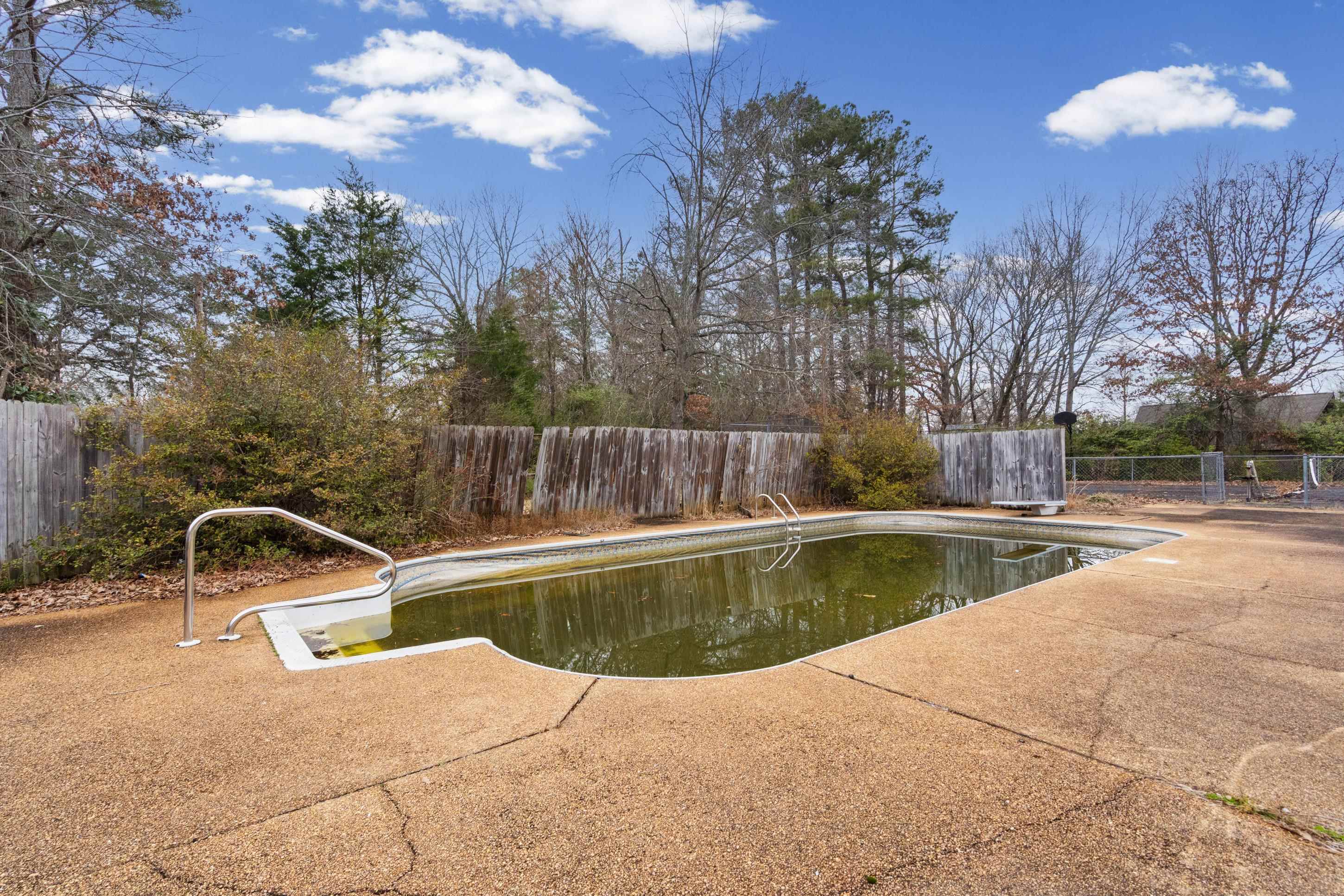 165 DEVILS BACKBONE RD - Photo 3