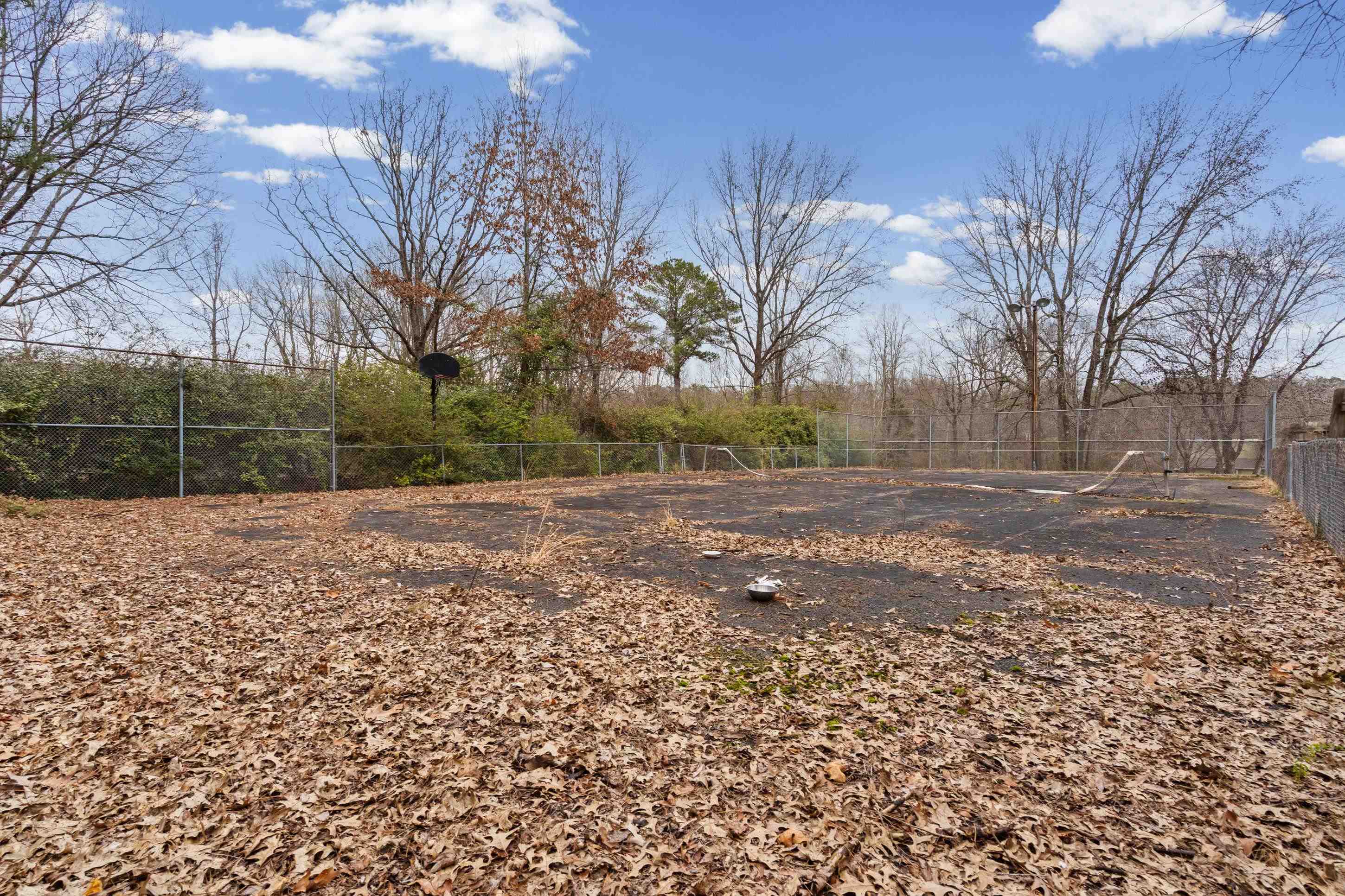 165 DEVILS BACKBONE RD - Photo 4