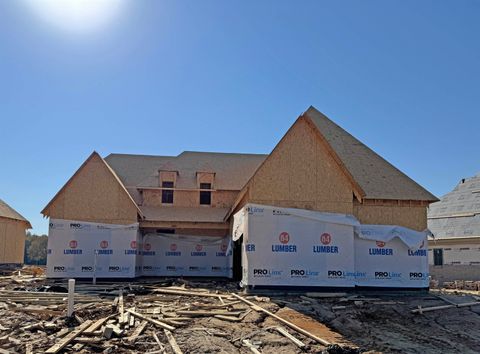 Photo of 295 VALLEYVIEW LN, Oakland, TN 38060 (MLS # 10206342)