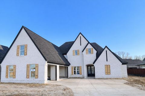 Photo of 10145 KAITLYNN ROSE DR S, Lakeland, TN 38002 (MLS # 10215238)