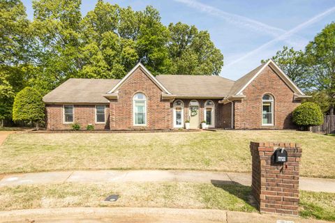 Photo of 288 HUGHES CV, Collierville, TN 38017 (MLS # 10219129)