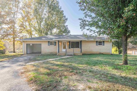 Photo of 1070 PINE TOP RD, Toone, TN 38381 (MLS # 10209677)